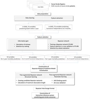 A Bayesian Network Model for Predicting Post-stroke Outcomes With Available Risk Factors